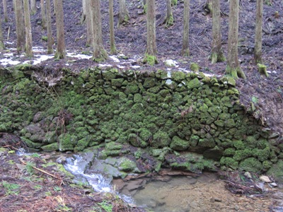 c0118495_2224449.jpg