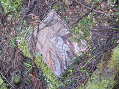 c0118495_2233377.jpg