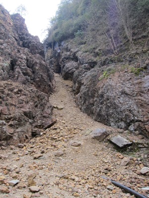 c0118495_22501627.jpg