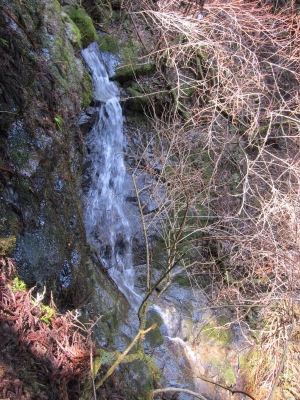 c0118495_2295169.jpg