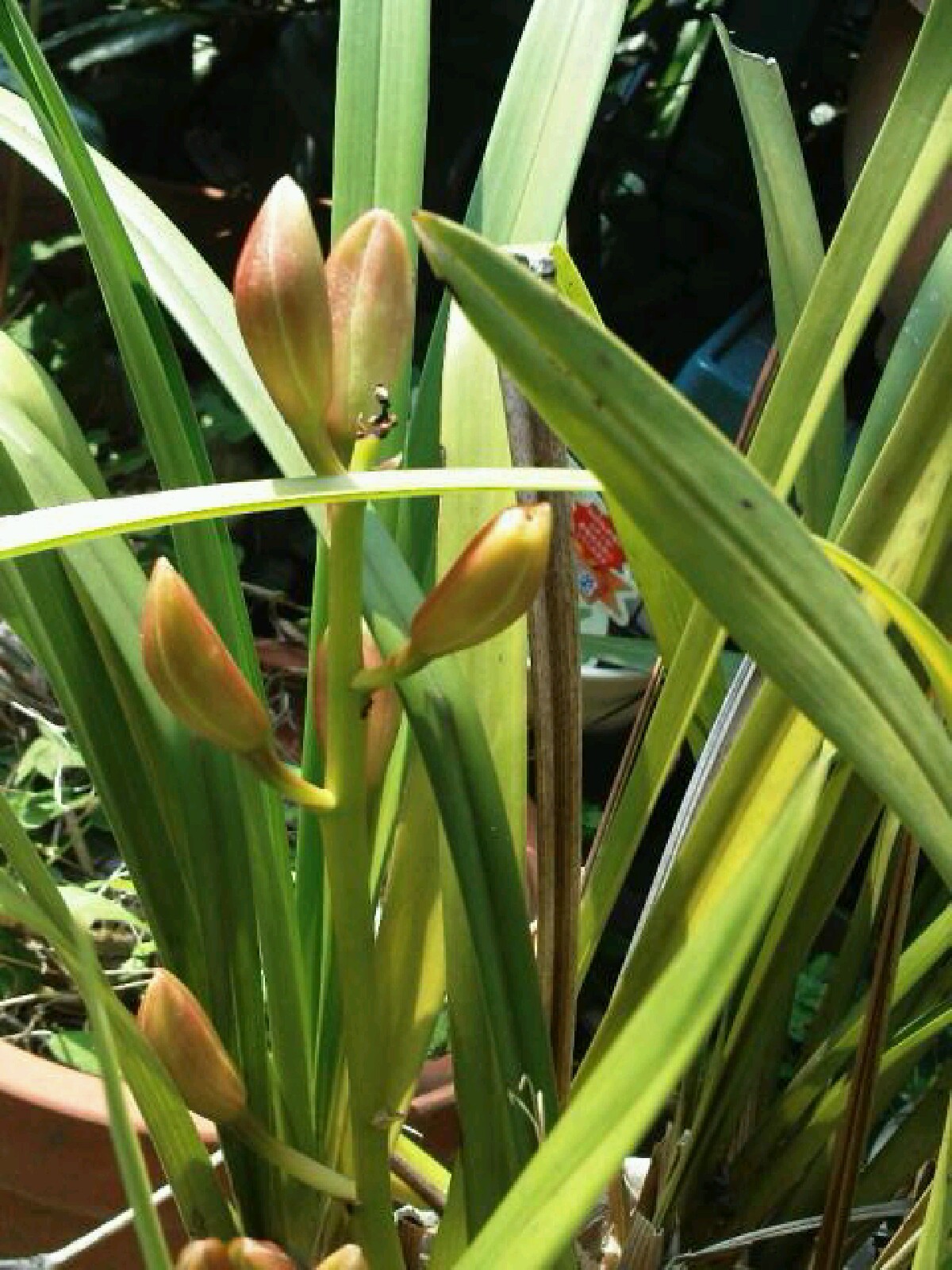 d0072395_13124827.jpg
