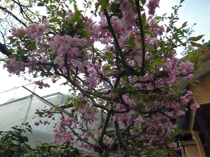 f0305995_0125127.jpg