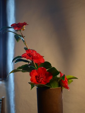 b0110999_3144611.jpg