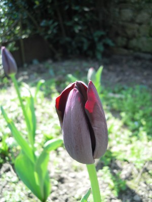 e0206902_62119.jpg
