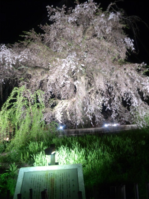 e0113504_2394961.jpg