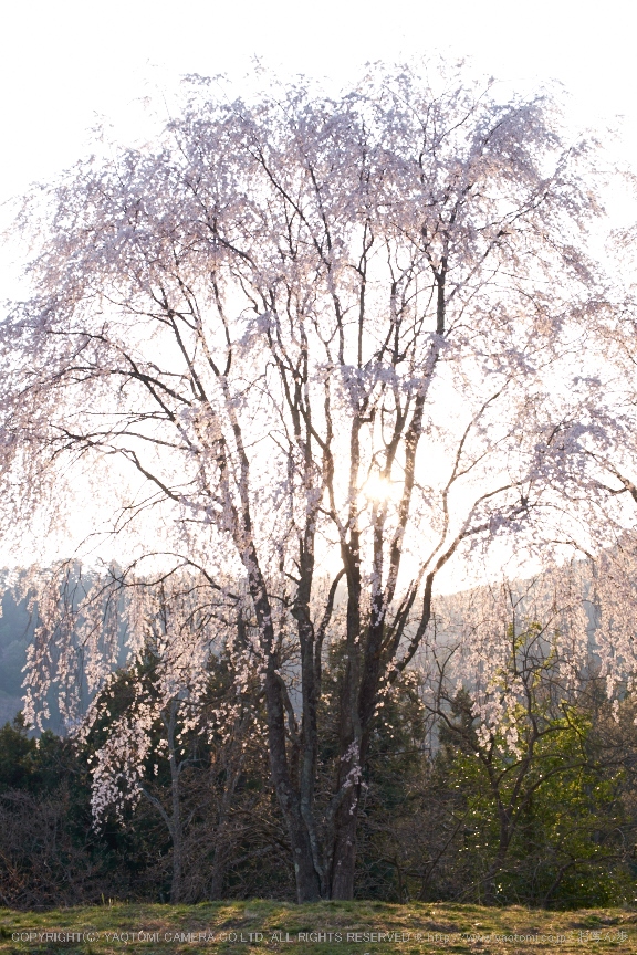 f0221510_23275065.jpg