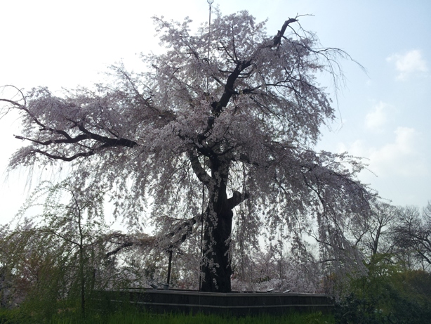 e0033713_20181930.jpg