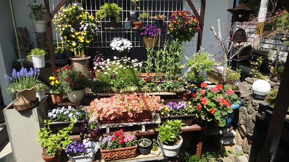 f0000521_21511543.jpg