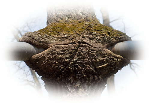 d0029829_12274093.png