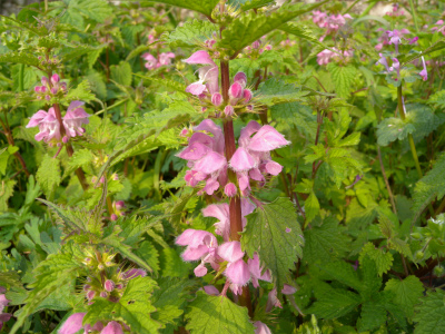 e0272335_21563571.jpg