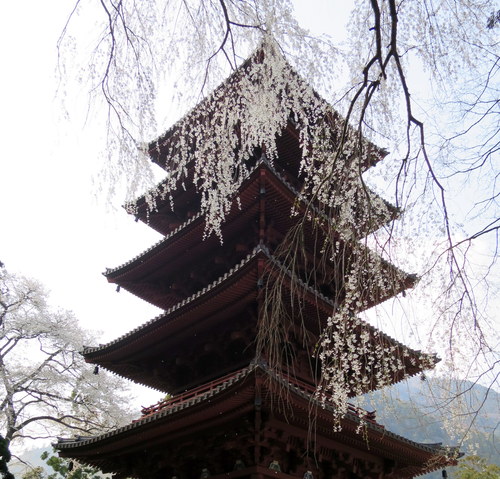 b0178339_22581162.jpg