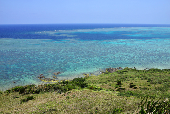 b0049152_8374151.jpg