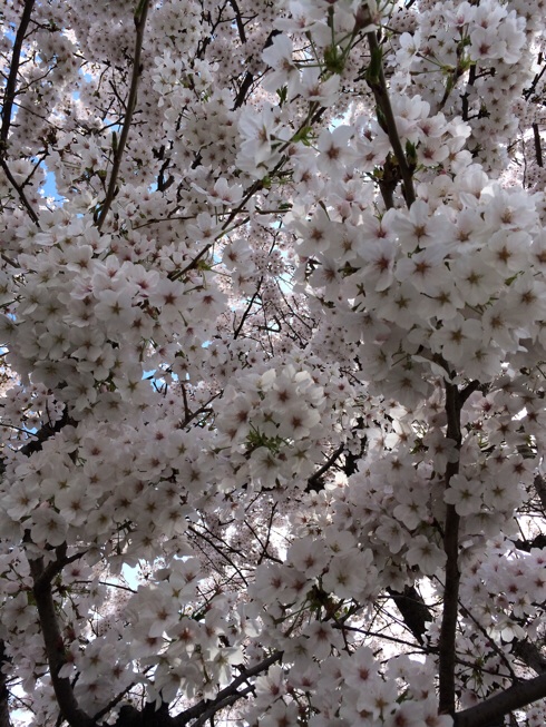c0299969_1232477.jpg