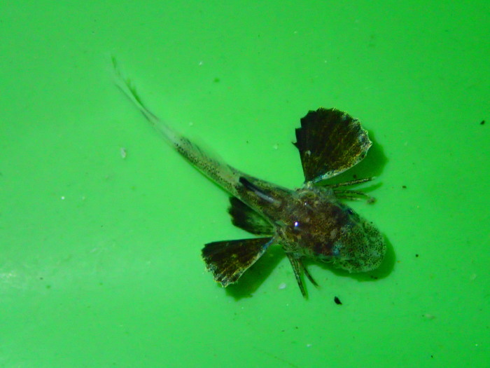 c0197578_11205414.jpg