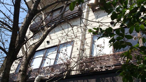 d0182179_15524217.jpg