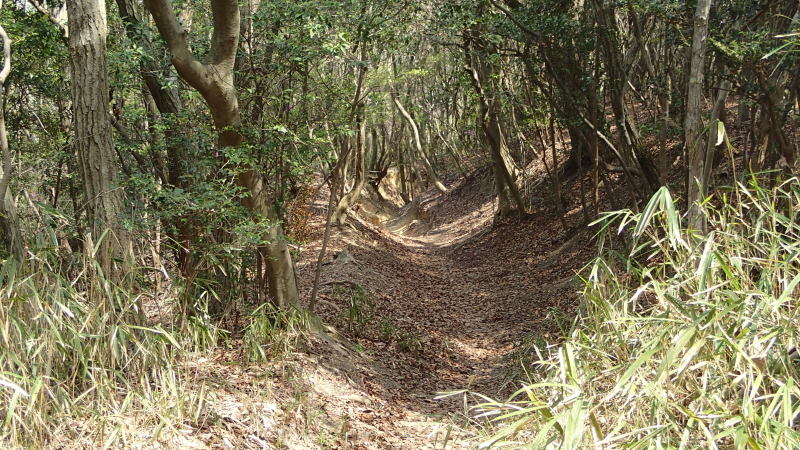 e0024081_13164412.jpg