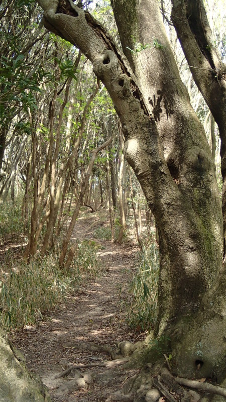 e0024081_13411292.jpg