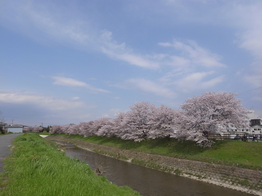 b0087187_21512115.jpg