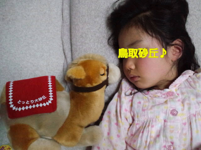 f0042295_9545442.jpg