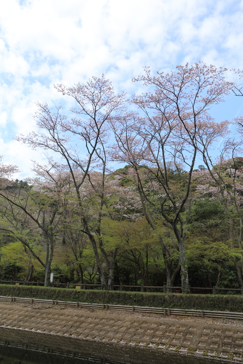 b0275998_11171050.jpg