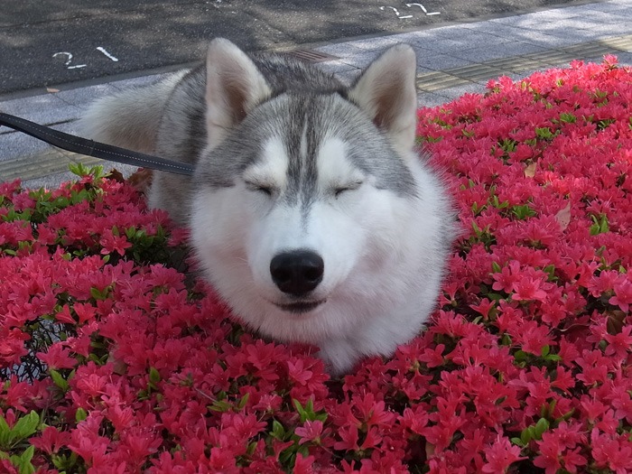 c0049299_2128659.jpg