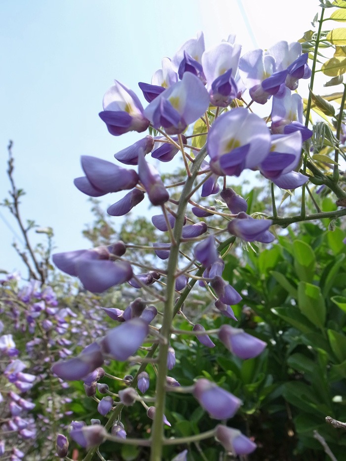 c0049299_21385070.jpg