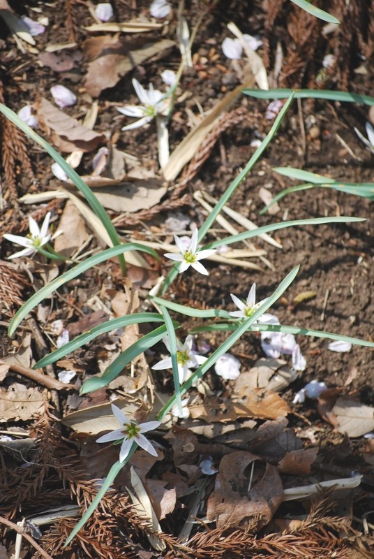e0025300_13304217.jpg