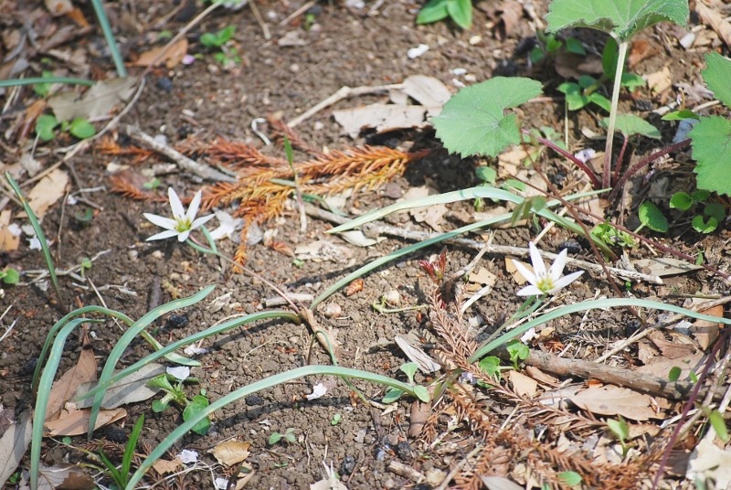 e0025300_13475913.jpg
