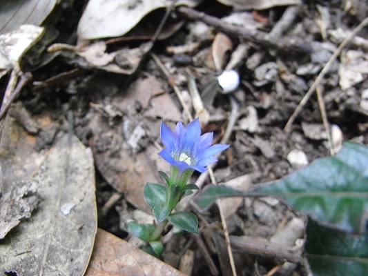 f0187402_21304970.jpg