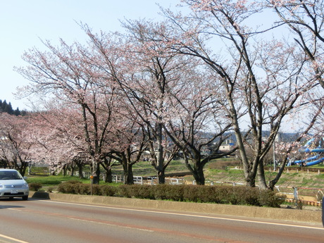 a0203003_1631327.jpg