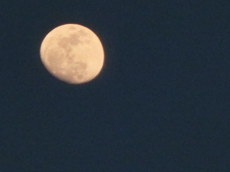 a0203003_18274624.jpg