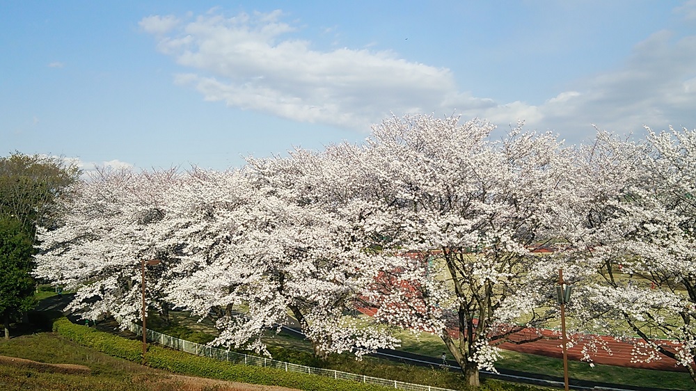 b0199924_16572929.jpg
