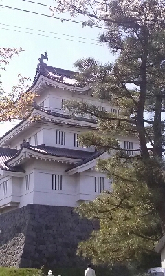 f0186330_20441662.jpg