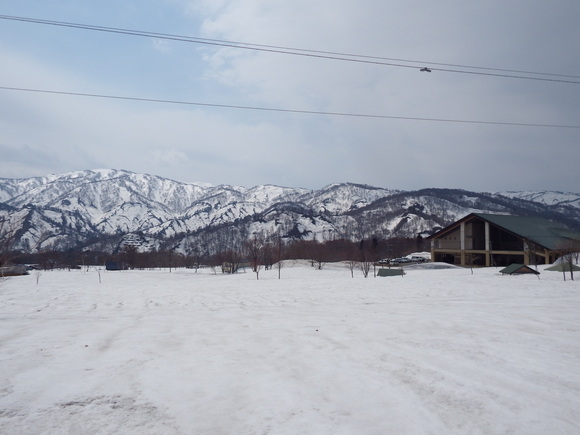 f0118332_2233687.jpg