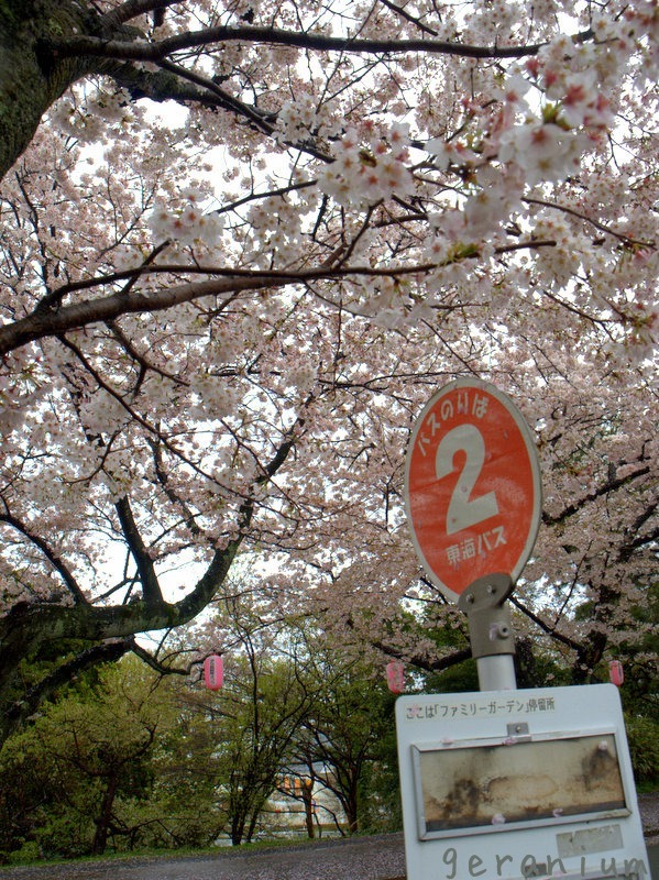 c0133533_00391257.jpg