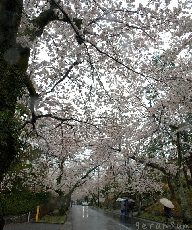 c0133533_00440576.jpg