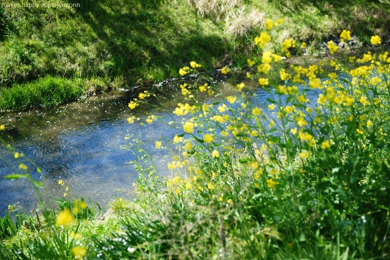 e0165434_141989.jpg