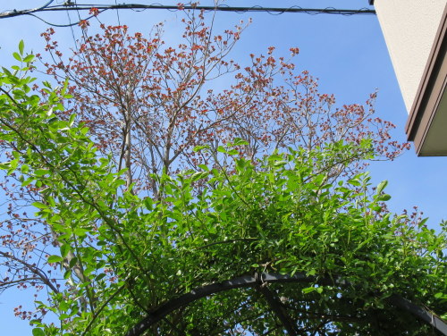 b0178339_22105811.jpg
