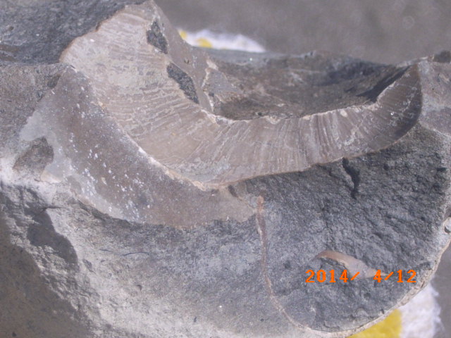 a0157451_2158431.jpg