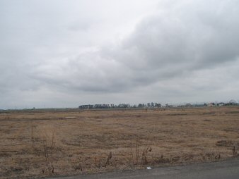 f0329554_16572391.jpg