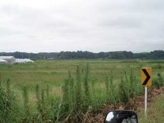 f0329554_17070308.jpg