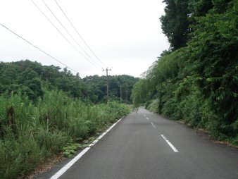 f0329554_17120385.jpg
