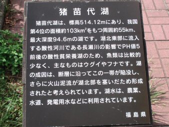 f0329554_17502831.jpg
