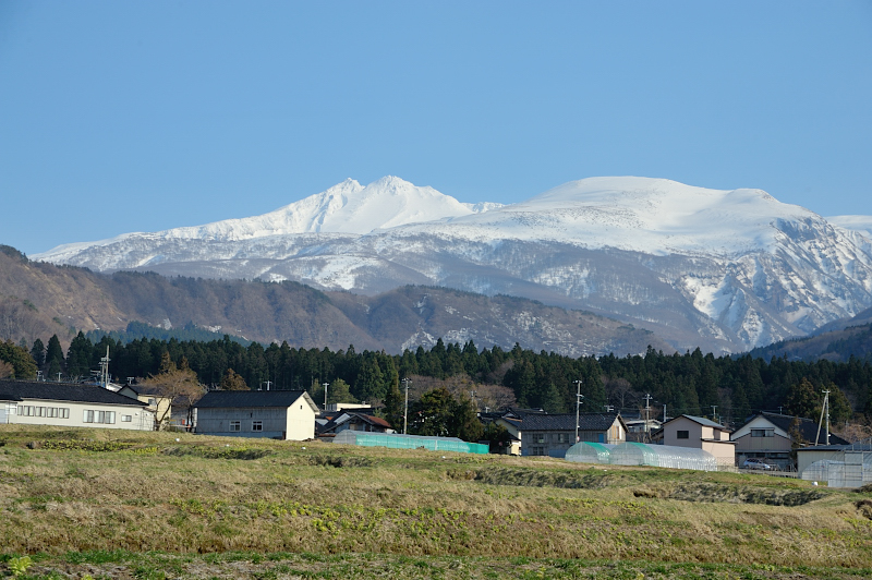 d0169556_21394119.jpg