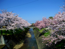 c0026558_105071.jpg