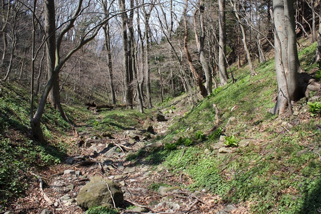 e0239458_16125061.jpg