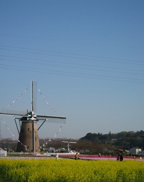 e0271461_17133830.jpg
