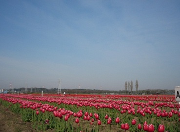 e0271461_1715661.jpg