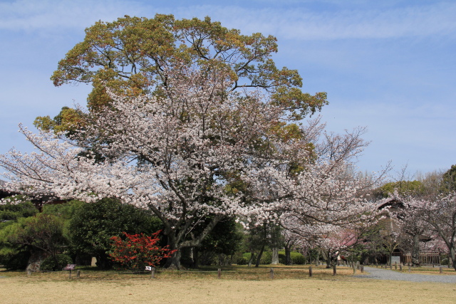 b0055171_05096.jpg