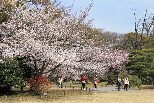 b0055171_8172773.jpg